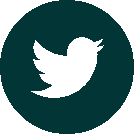 Twitter Icon Linking to IGV Inc Twitter Page