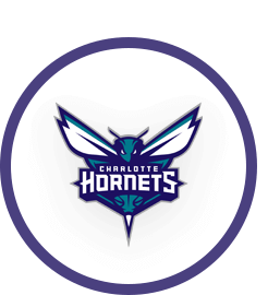 Charlotte Hornets Logo